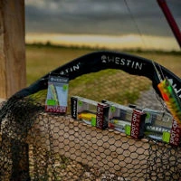 Westin Spot-On Poppers 6.5cm/7g